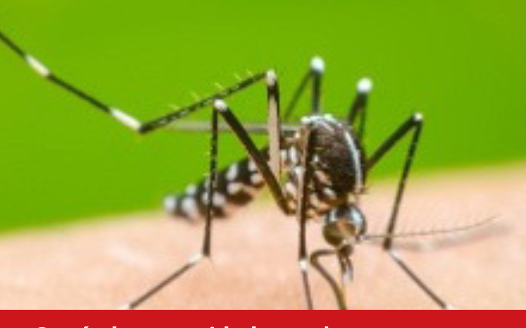 Prevengamos el Dengue: Es urgente reforzar las medidas en los hogares